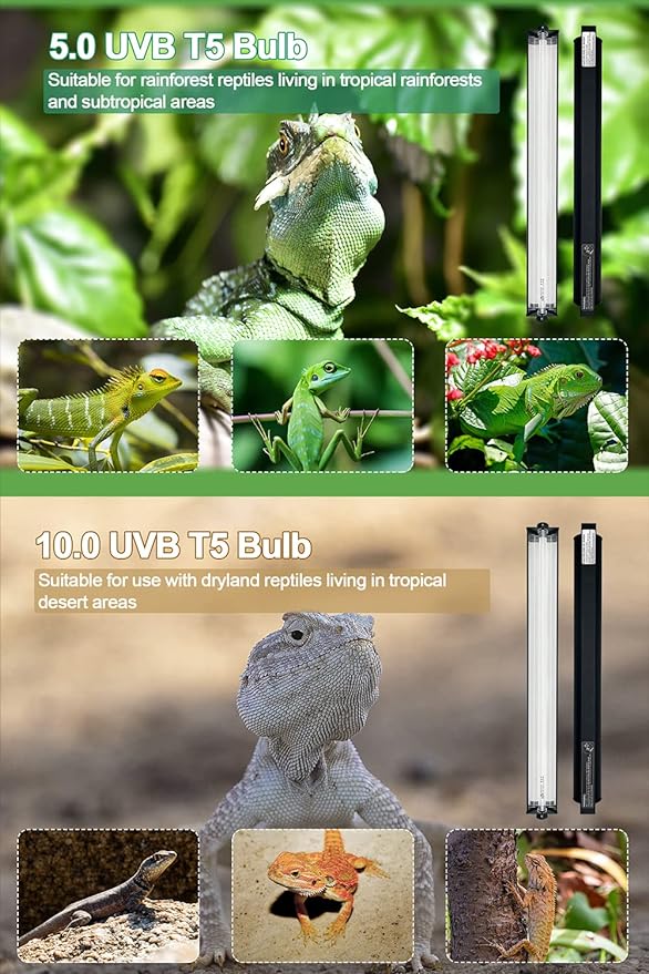 24W T5 HO UVB Reptile Light Fixture Kit, Terrarium Hood Light with Reptile Light Desert UVB 5.0 Fluorescent Tube, Ideal for Reptiles in Tropical Rainforests