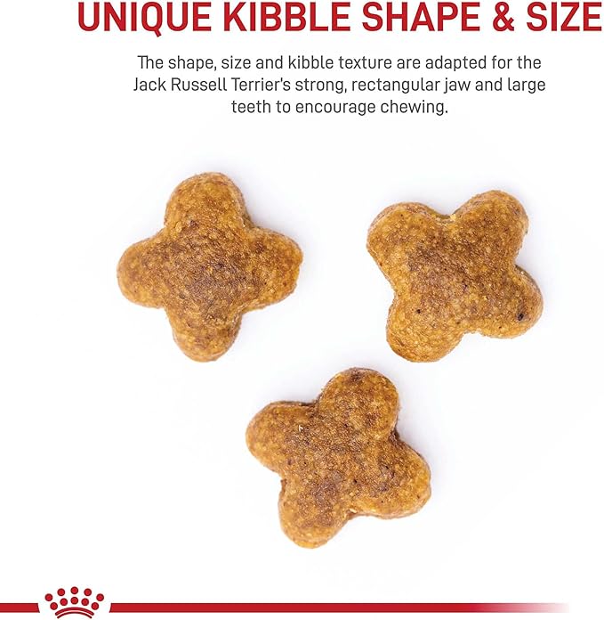 Royal Canin Jack Russell Terrier Adult Dry Dog Food, 10 lb bag