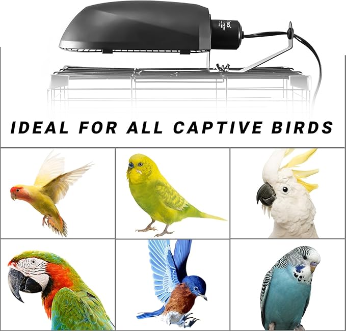 Oiibo Bird Cage Light Fixture Combo Kit, AvianSun Lamp Hood with 2.4% UVB UVA 20W Compact Fluorescent Bulb for All Kinds Captive Birds