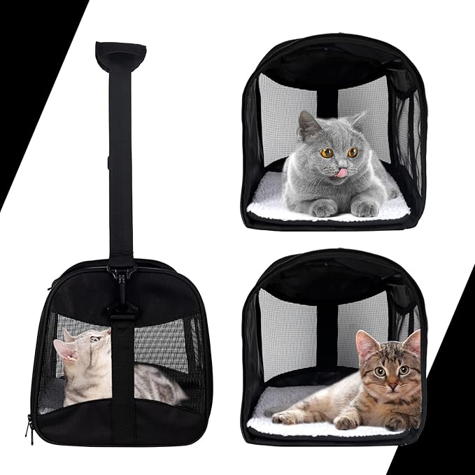 Cat Carrying Case - Pet Carrier Airline Approved, Protable and Breathable Pet Travel Carrier Removable Fleece Pad, Collapsible Cat Carrier Dog Carrier for Medium Cats Small Cats Dogs(Medium, black)