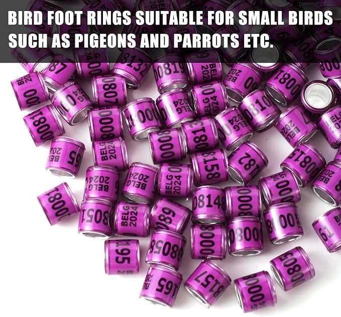 50Pcs Multicolor Aluminium Pigeon Leg Rings with 2024 BELG Training Identify Birds Foot Ring Identify 8mm Plastic Bird Leg Bands (Purple)