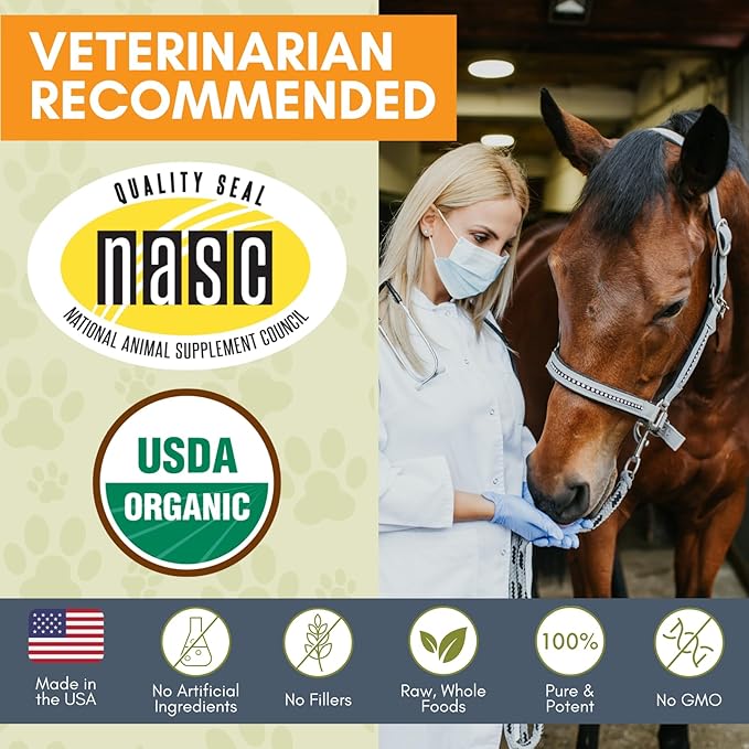 Wholistic Pet Organics Equine Complete: Horse Multivitamin for Total Body Health - Horse Supplement with Vitamins, Minerals, Prebiotics, Probiotics - Organic Pumpkin Flavor - 4 Lb