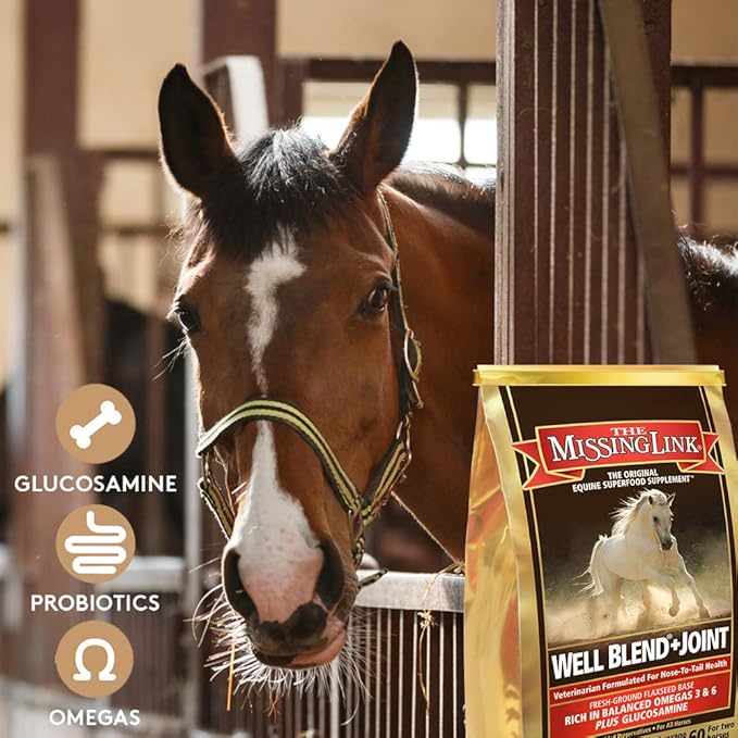 The Missing Link Equine Well Blend + Joint Superfood Supplement Powder, 10.6 lb. Bag / 120 Day Supply