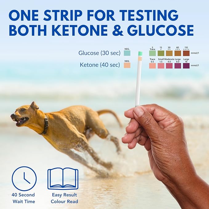 PetTest Pet Ketone and Glucose Test Strips with Urine Catcher Telescoping Pole - 50 Strips for Fast Urine Testing of Cats & Dogs with Extendable Urine Catcher up to 45" - Home kit for Pet Ketone Level