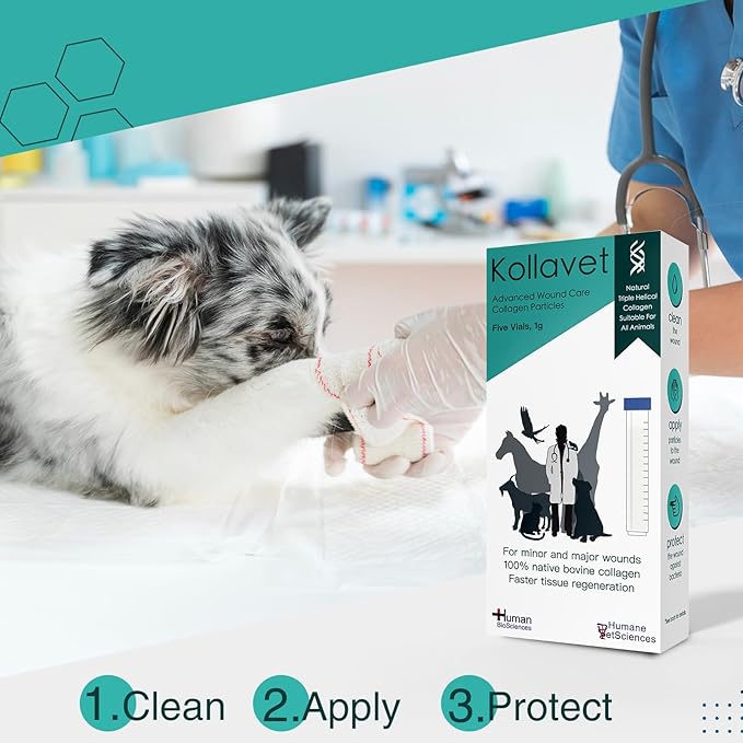 Veterinarian-Recommended Animal Wound Care Dressing for Cats, Dogs, Horses, Reptiles, Pets, and Working Animals (1 Gram Vials)