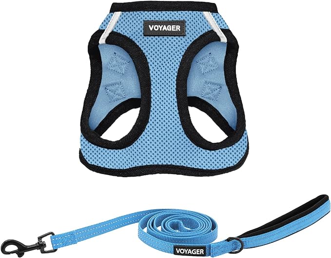 Voyager Step-in Air All Weather Mesh Harness and Reflective Dog 5 ft Leash Combo with Neoprene Handle, for Small, Medium and Large Breed Puppies by Best Pet Supplies - Baby Blue/Black Trim, XXX-Small