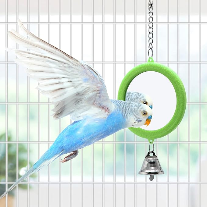 2PCS Bird Mirror with Bell Parrot Hanging Interactive Playing Toy for Cockatiel Parakeets Canaries Budgie Cage Accessories (Green)