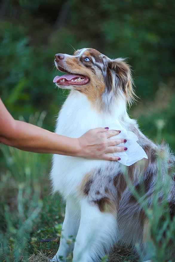 earthbath, Hypo-Allergenic Grooming Wipes - Fragrance Free Dog Wipes for Paws and Butt, Best Pet Wipes for Dogs with Sensitive Skin, Made in USA, Cruelty-Free Dog Cleaning Wipes - 100 Count (2 Pack)