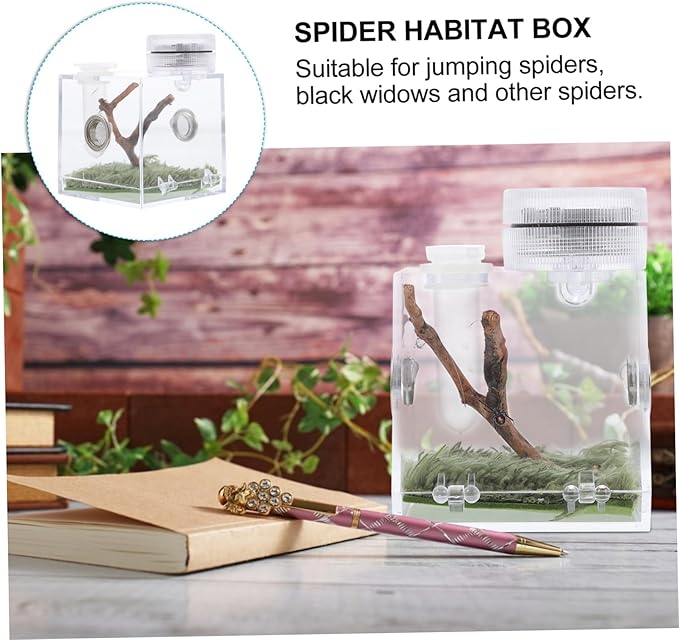 Mipcase 4pcs Box Jumping Spider Breeding Box Mini Critter Keeper Habitat Reptile Terrariums Spider Terrarium Reptile Accessories Spider Accessory Acrylic Little Spider Water Tank