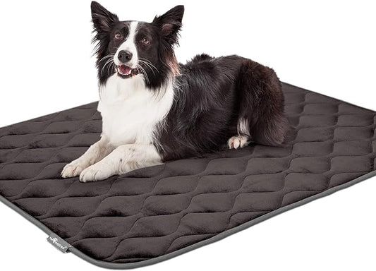 Paw Inspired Washable Padded Crate Mats for Dogs | 47” x 29” Pad, Fits 48-inch Kennels | Leakproof, Waterproof Bottom, Plush Pet Beds (Gray)