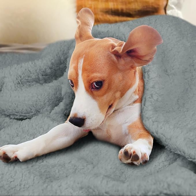 furrybaby Dog Blanket Soft Dog Blankets for Large Dogs Puppy Essentials Washable Sherpa Fleece Cat Blanket 40x47 Inches for Bed Furniture Couch Sofa (Large, Grey)