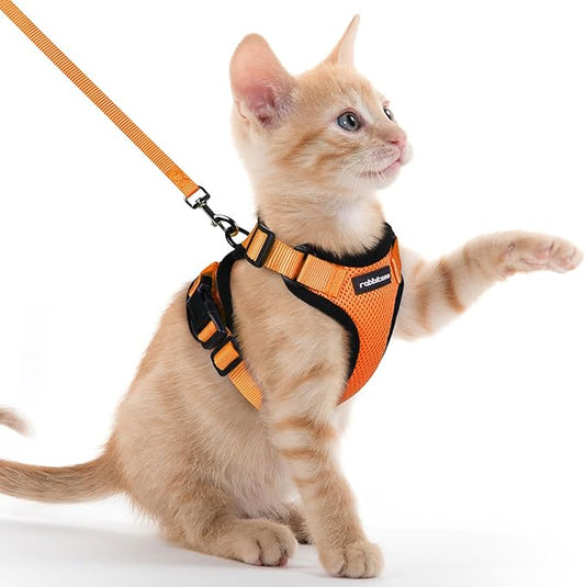 rabbitgoo Cat Harness and Leash for Walking, Escape Proof Soft Adjustable Vest Harnesses for Cats, Easy Control Breathable Reflective Strips Jacket, Orange, XXS