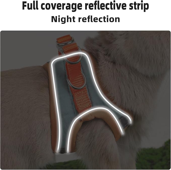 Adjustable Bunny Harness and Leash Set Double Buckle with Reflective Strips Rabbit Vest Pets Stuff Suitable for Rabbit Walks Accessories (Orange Green, M)