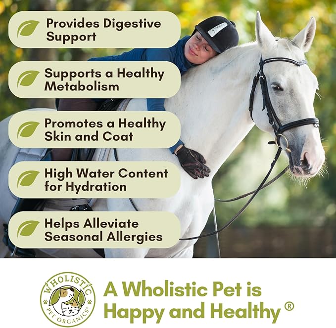 Wholistic Pet Organics Equine Complete: Horse Multivitamin for Total Body Health - Horse Supplement with Vitamins, Minerals, Prebiotics, Probiotics - Organic Pumpkin Flavor - 4 Lb