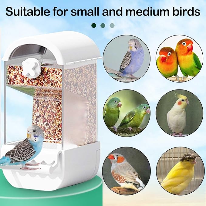 Automatic Bird Feeder for Cage 5Pcs No Mess Parrot Feeder Transparent Acrylic Seed Food Container Cage Accessories with Ball Toy for Small and Medium Parakeets Lovebirds (White)