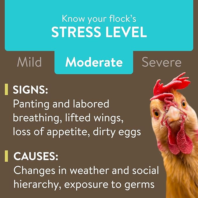 Recover Plus Moderate Stress Probiotic Water Supplement for Chickens with Electrolytes & Oregano, 8 oz