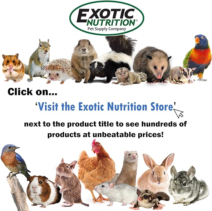 Flower Fusion Treat (8 oz.) - Healthy Natural Dried Flower Herbivore Treat - Chinchillas, Guinea Pigs, Rabbits, Prairie Dogs, Degus, Hamsters, Rats, Squirrels, Sugar Gliders & Other Small Pets