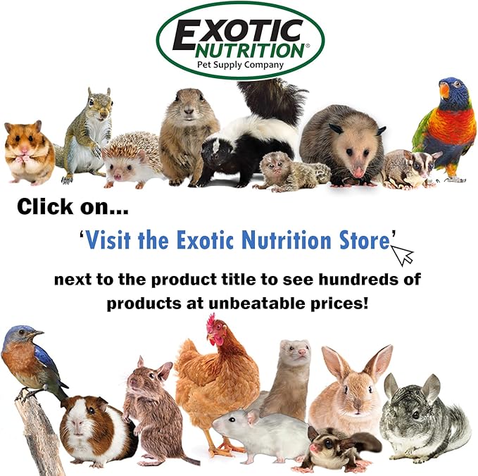 Exotic Nutrition Herbivore Treats 6 Pack - Healthy Assortment Small Animal Pet Treat - Squirrels, Guinea Pigs, Rabbits, Chinchillas, Prairie Dogs, Degus, Hamsters, Gerbils, Herbivores