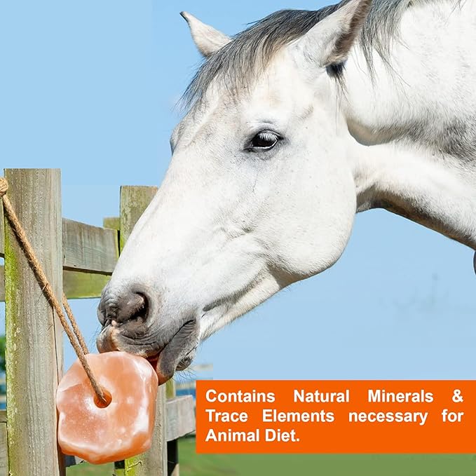 Natural Rock Lick for Deer, Horse, Cows and Livestock - 100% Organic Rock Salt Lick on Ropes