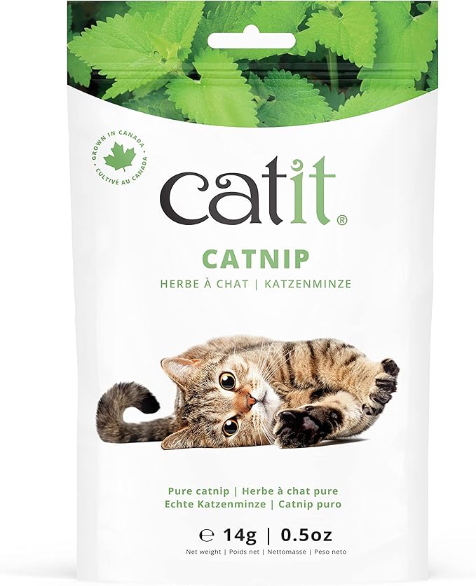 Catit Dried Catnip for Stimulating Indoor and Outdoor Cats, 0.5 oz.