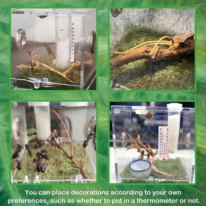 2 Pack Jumping Spider Enclosure,Tarantula Enclosure with Tongs and Droppers,Praying Mantis Eggs to Hatch Box for Small Animals Such As Tarantula,Spiders,Snails,Crickets,Praying Mantis and Ants