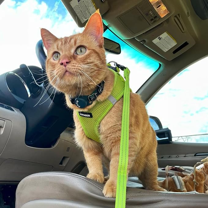 Voyager Step-in Air Cat Harness - All Weather Mesh Step in Vest Harness for Small and Medium Cats by Best Pet Supplies - Harness (Lime Green), XXS (Chest: 10.5-13")