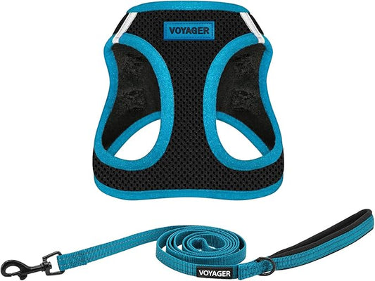 Voyager Step-in Air All Weather Mesh Harness and Reflective Dog 5 ft Leash Combo with Neoprene Handle, for Small, Medium and Large Breed Puppies by Best Pet Supplies - Black/Blue Trim, Small