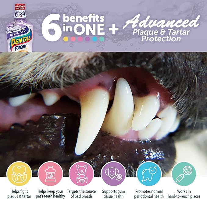 Dog Dental Care Water Additives for Fresher Breath, Teeth Cleaning, and Oral Health - Original 17oz and Advanced Tartar Remover 17oz Formulas