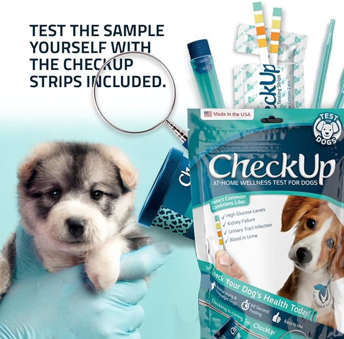 CheckUp Kit at Home Wellness Test for Dogs | Telescopic Pole, Detachable Cup & 2 Test Strips | Detects 4 Most Common Pet Health Indicators - Glucose, Protein, pH and Blood in Urine | 2 Strips