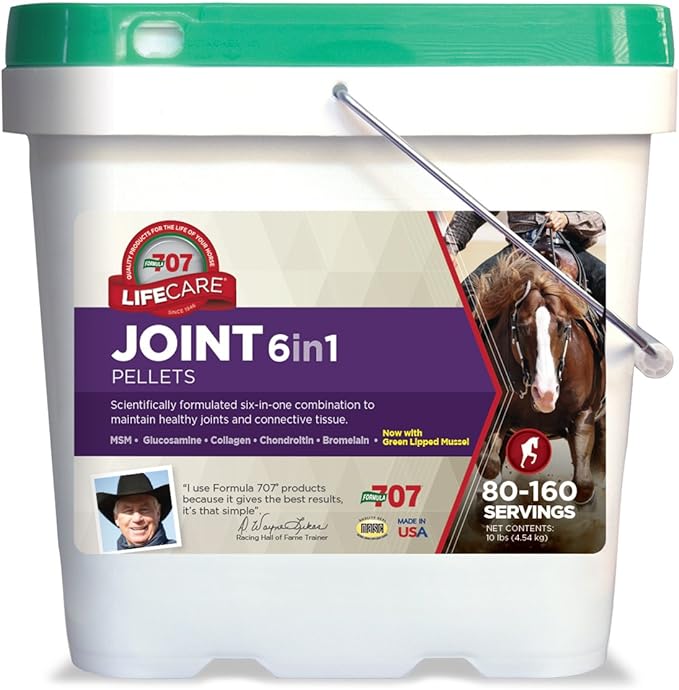 Formula 707 Joint 6in1 Equine Supplement 10LB Bucket– Support for Joint Integrity and Inflammatory Response in Horses – Green-Lipped Mussel, MSM, Glucosamine, Chondroitin & Collagen