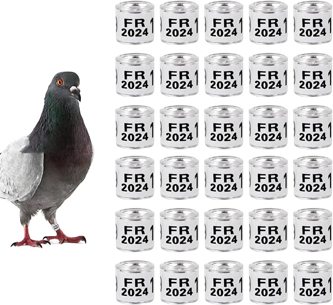 50Pcs Multicolor Aluminium Pigeon Leg Rings with 2024 FR Training Identify Birds Foot Ring 8mm Plastic Bird Leg Bands (White)