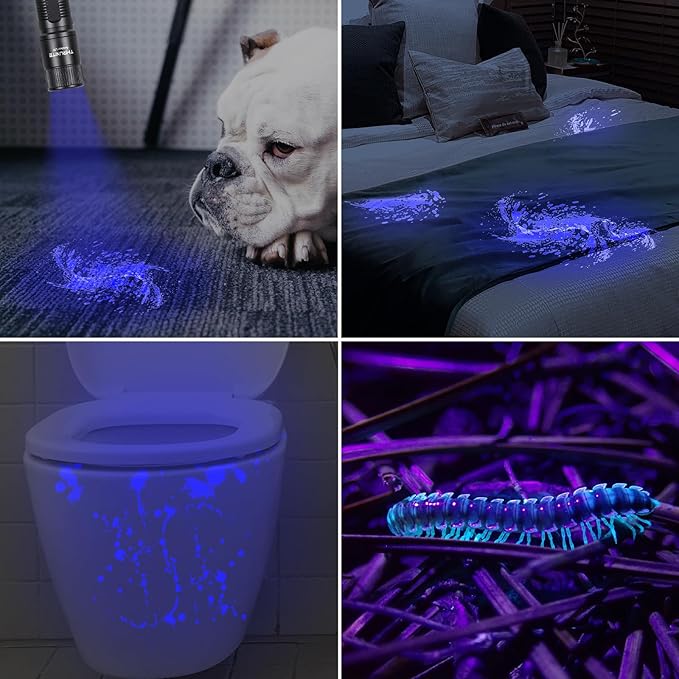 ThruNite Archer UV Flashlight 365nm Mini Black Light for Pet Urine Detection, Cat/Dog Urine Detector, Pet Stains and Bed Bug, Hunting Scorpions