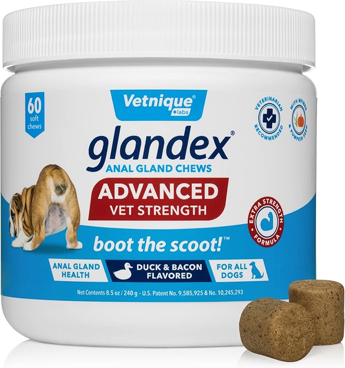 Glandex Anal Gland Soft Chew Treats with Pumpkin for Dogs Digestive Enzymes, Probiotics Fiber Supplement for Dogs Boot The Scoot (Advanced Strength Duck/Bacon Chews (Vegetarian), 60ct)