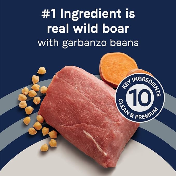 Canidae Pure Real Wild Boar & Garbanzo Bean Recipe Adult Dry Dog 4 LB