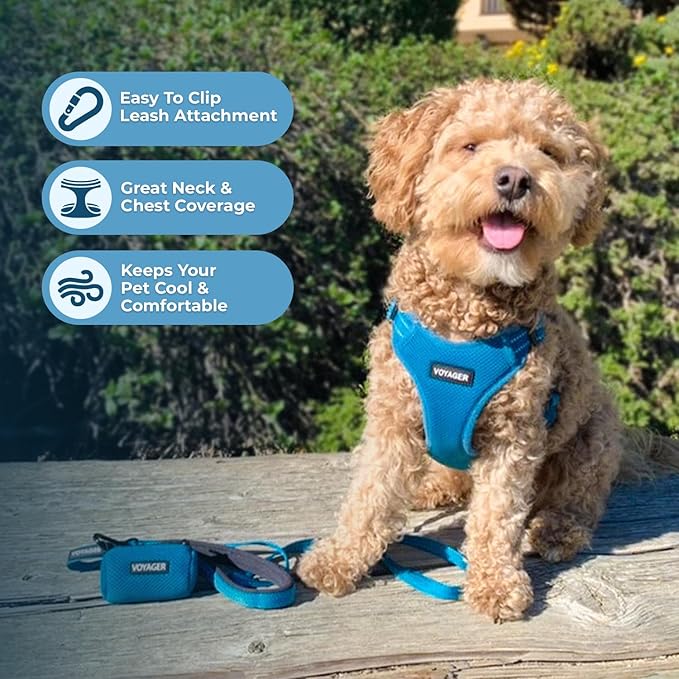 Best Pet Supplies Voyager Adjustable Dog Harness with Reflective Stripes for Walking, Jogging, Heavy-Duty Full Body No Pull Vest with Leash D-Ring, Breathable All-Weather - Harness (Turquoise), XL