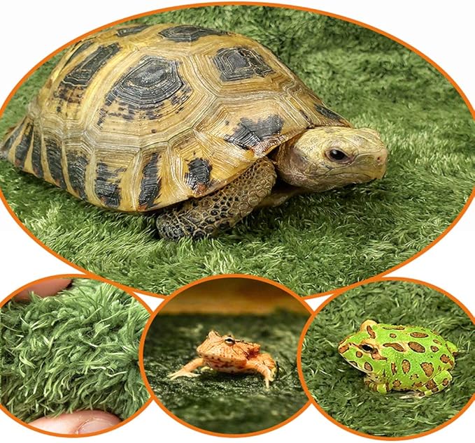 kathson 2pcs Reptile Carpet Terrarium Liner Tortoise Bedding Reptile Substrate Liner Mat Pet Cage Mats Supplies for Lizard Snake Bearded Dragon Gecko Chameleon Turtle Iguana (11.81 X 7.87 in)