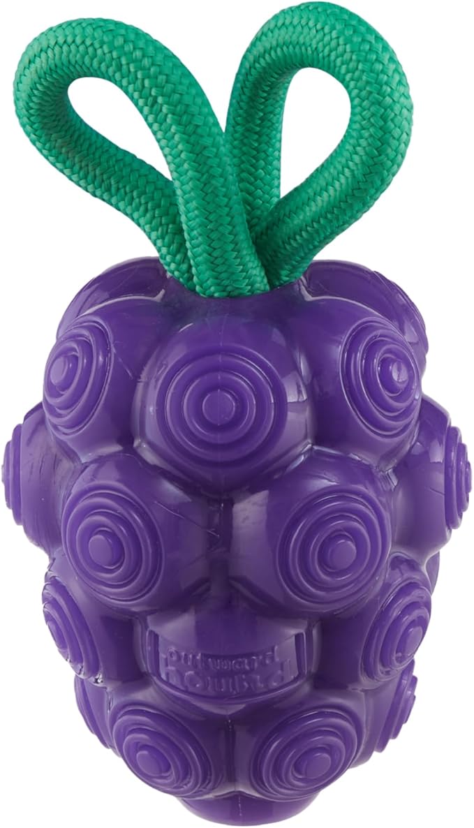 Outward Hound Dental Grapes Dental Chew Toy and Interactive Treat Stuffer Durable Dog Toy Stuffable Dog Toy, Medium, Purple