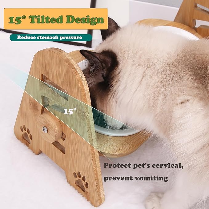 Raised Cat Food Bowls, 2 Elevated Ceramic Bowls 15° Tilted Orthopedic Feeding Dishes Solid Bamboo Pet Bowls Feeder Set for Cats and Puppy Feeding Station Kitty Bowl Set for Food and Water