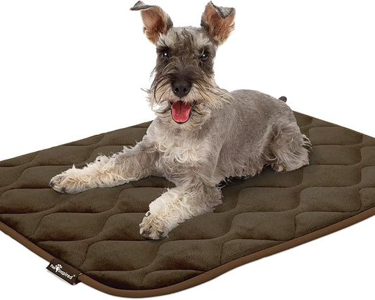 Paw Inspired Washable Padded Crate Mats for Dogs | 35” x 22” Pad, Fits 36-inch Kennels | Leakproof, Waterproof Bottom, Plush Pet Beds (Dark Brown)