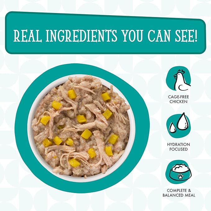 Weruva Dogs in The Kitchen, Funk in The Trunk with Chicken Breast & Pumpkin Au Jus Dog Food, 2.8Oz Pouch (Pack of 12)