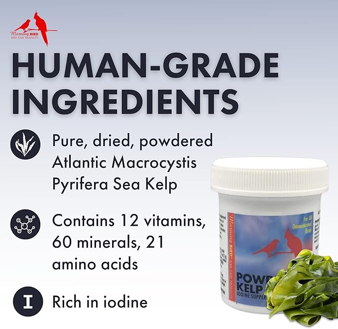 Morning Bird Powdered Kelp Birds Supplement, Iodine Dietary Supplement with Vitamins, Minerals and Amino Acids for Birds