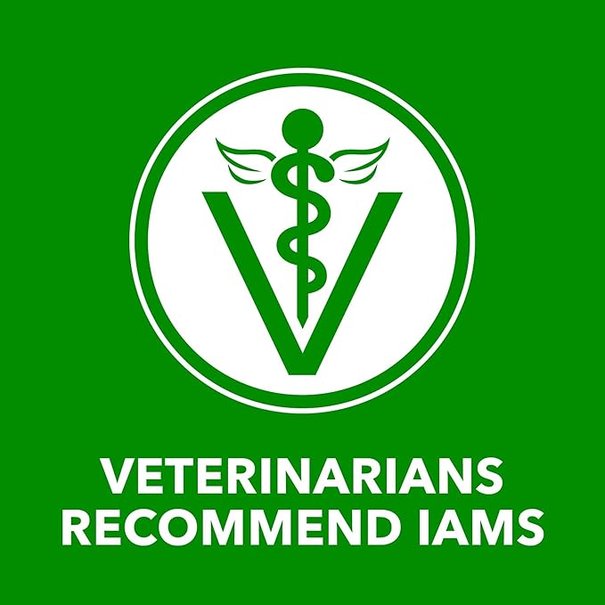 Iams Proactive Health Wet Dog Food, Lamb Chunks in Gravy, 13 oz., Pack of 12