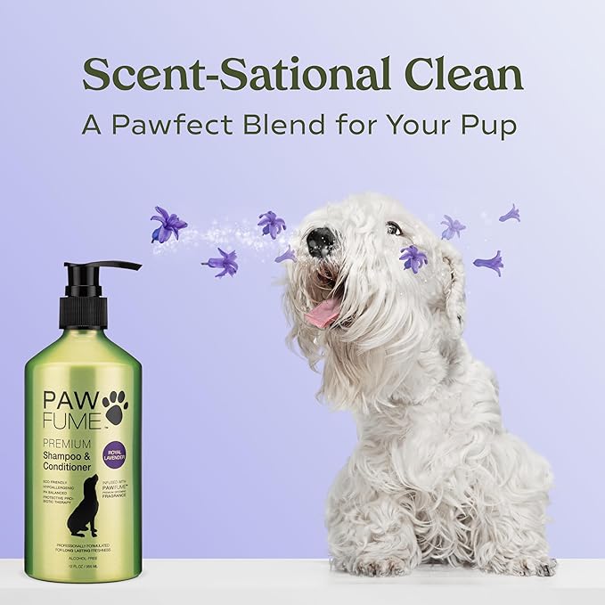 Pawfume Dog Shampoo and Conditioner – Hypoallergenic Dog Shampoo for Smelly Dogs – Best Dog Shampoos & Conditioners – Probiotic Pet Shampoo for Dogs – Best Dog Shampoo for Puppies (Lavender, 4-Pack)