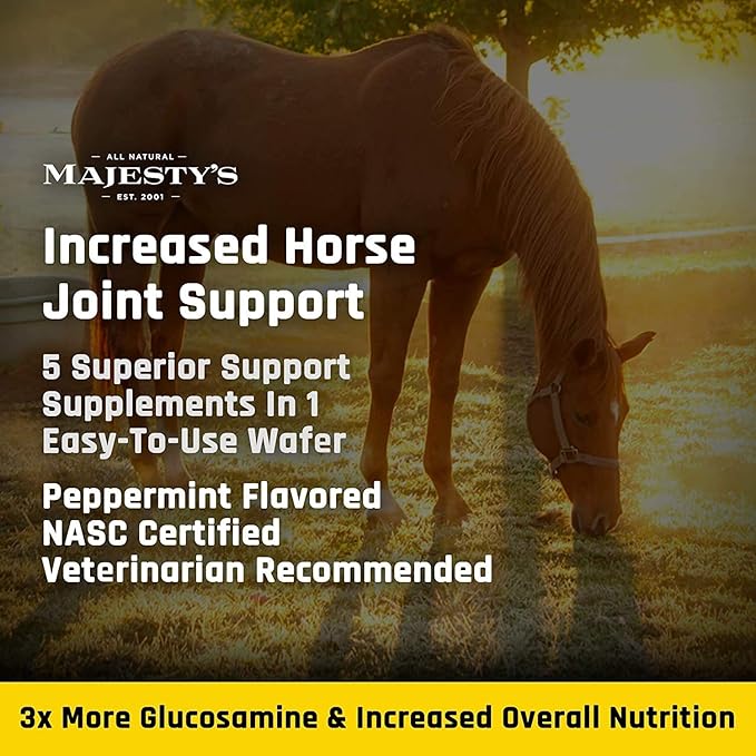 Majesty's Flex XT Wafers - Superior Horse/Equine Joint Support with Increased Supplement Levels - Glucosamine, MSM, Yucca, Vitamin C (Peppermint, 2 Pack(120 Count Total))