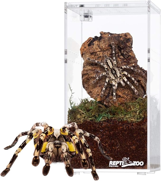 REPTI ZOO Magnetic Acrylic Reptile Breeding Box, 3"x3"x6" Transparent Feeding Box with Sliding Cover Reptile Terrarium Cage Tank for Insect Reptiles Tarantulas