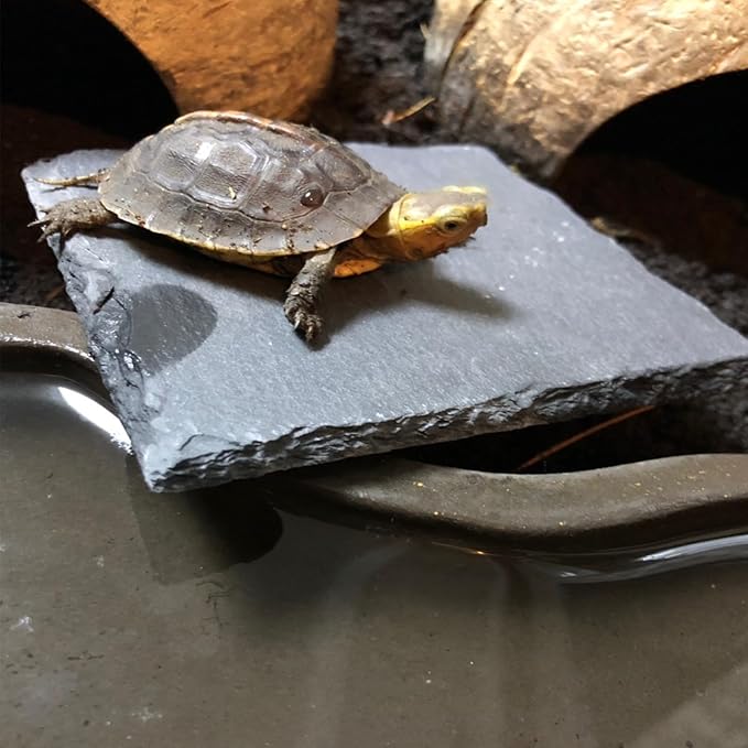 Reptile Basking Platform 2Pcs Tortoise Rock Plate Slate Feeding Platform Food Dish Bowl Turtle Bathing Rock Rest Terrace for Chameleon Lizard Bearded Dragon Gecko Snake Frog Newt (7.8''/20CM)