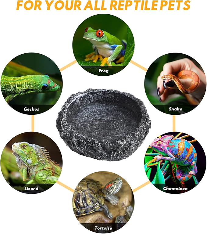 Reptile Bowl - 2Pcs Reptile Water Dish with Feeding Tongs Reptile Feeding Reptile Feeding Bowls Reptile Water Bowl Reptile Food Dish for Lizard Tortoise