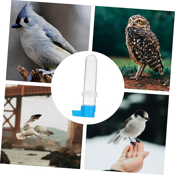 5pcs Bird Drinker Pet Bird Water Feeder Automatic Bird Water Dispenser Bird Drinking Bottle Bird Water Feeder for Cage Bird Accessories for Cages Bird Supplies Heighten Plastic