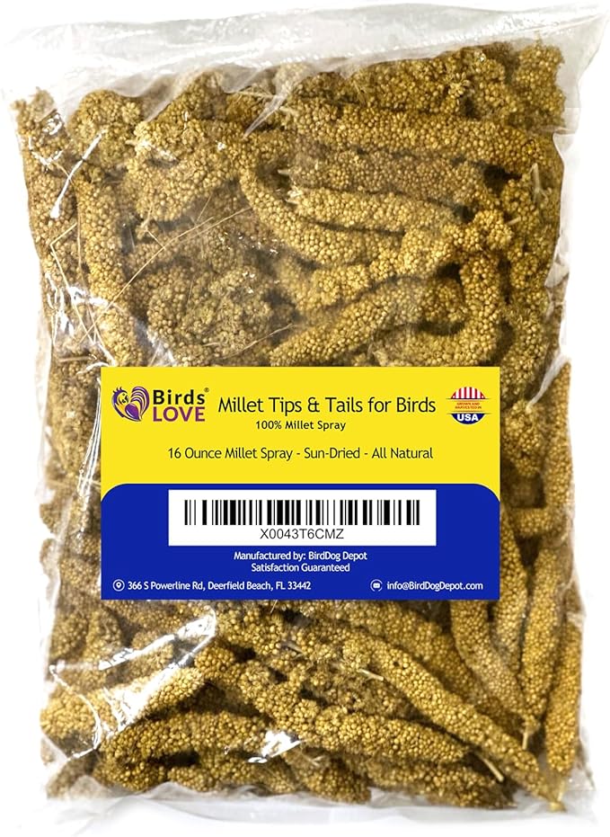 Birds LOVE Millet Tips & Tails for Birds - Parakeets, Cockatiels, Lovebirds, Finches, Budgies, Canaries, Cockatoos - Natural & Healthy Millet for Birds - Parakeet Food & Treats for All Parrots, 1lb