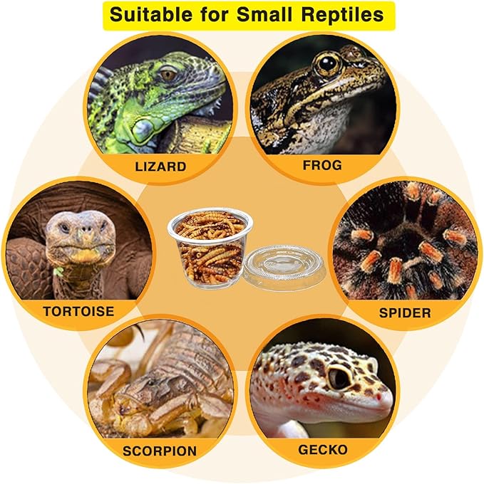 Small Reptile Food Plastic Replacement Cup Worm Water Dish Feeder Lizard Gecko Ceramic Pet Bowls with Tongs for Tortoise Lizard Bearded Dragon Frog Leopard Gecko Snake Chameleon(1 oz, 200PCS)